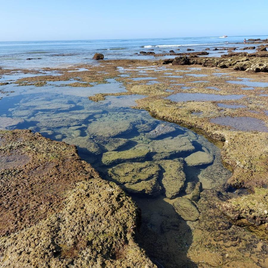 Paradise In Olhos D'Agua Beach 알부페이라 외부 사진