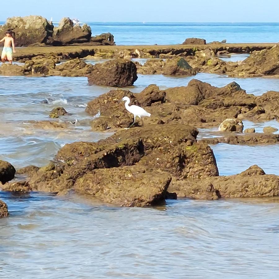Paradise In Olhos D'Agua Beach 알부페이라 외부 사진