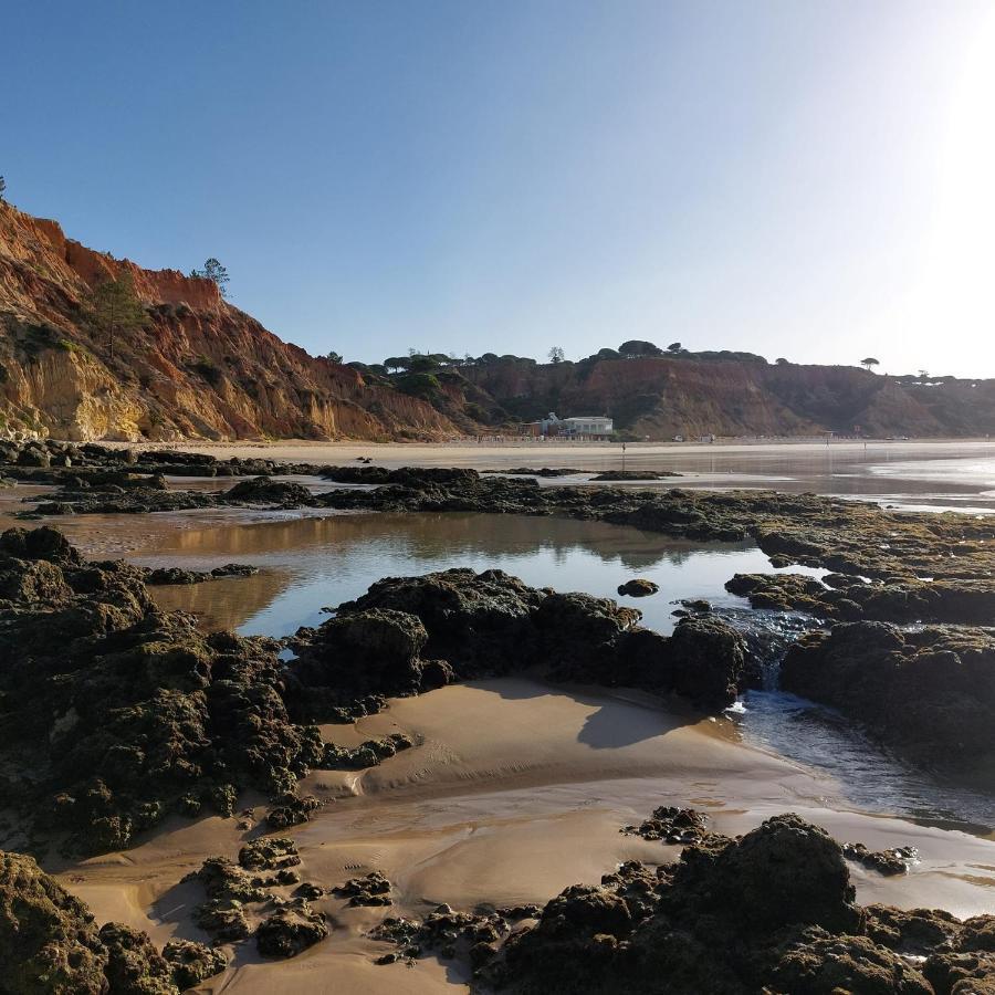 Paradise In Olhos D'Agua Beach 알부페이라 외부 사진